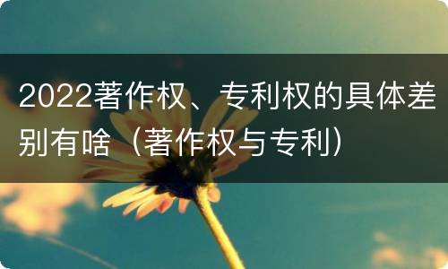 2022著作权、专利权的具体差别有啥（著作权与专利）