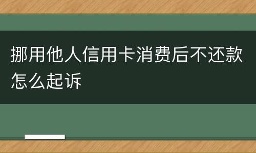 挪用他人信用卡消费后不还款怎么起诉