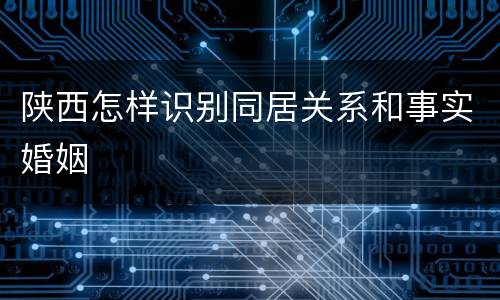 陕西怎样识别同居关系和事实婚姻