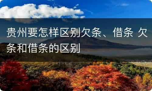 贵州要怎样区别欠条、借条 欠条和借条的区别