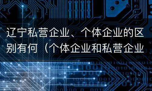 辽宁私营企业、个体企业的区别有何（个体企业和私营企业的区别）