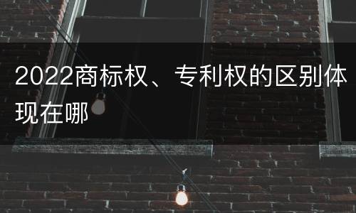 2022商标权、专利权的区别体现在哪