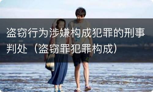 盗窃行为涉嫌构成犯罪的刑事判处（盗窃罪犯罪构成）