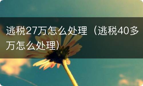 逃税27万怎么处理（逃税40多万怎么处理）