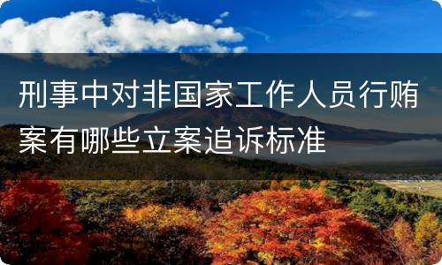 刑事中对非国家工作人员行贿案有哪些立案追诉标准