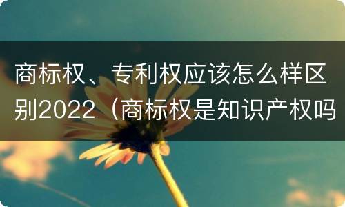 商标权、专利权应该怎么样区别2022（商标权是知识产权吗）
