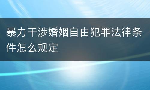 暴力干涉婚姻自由犯罪法律条件怎么规定