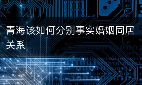 青海该如何分别事实婚姻同居关系