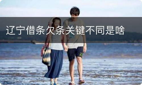 辽宁借条欠条关键不同是啥