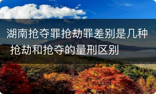 湖南抢夺罪抢劫罪差别是几种 抢劫和抢夺的量刑区别
