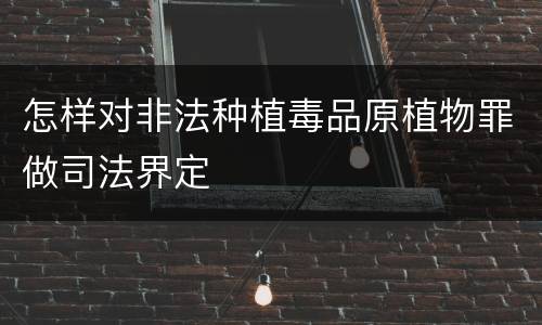 怎样对非法种植毒品原植物罪做司法界定