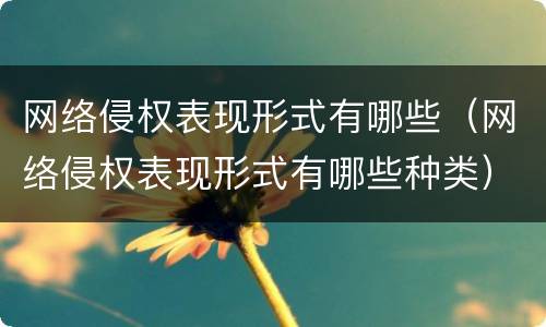 网络侵权表现形式有哪些（网络侵权表现形式有哪些种类）