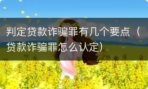 判定贷款诈骗罪有几个要点（贷款诈骗罪怎么认定）