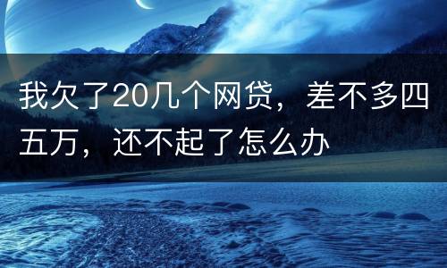 我欠了20几个网贷，差不多四五万，还不起了怎么办