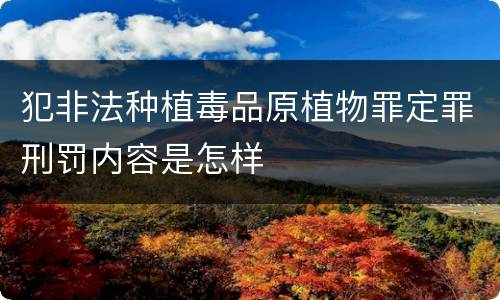 犯非法种植毒品原植物罪定罪刑罚内容是怎样
