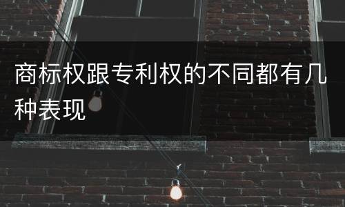 商标权跟专利权的不同都有几种表现