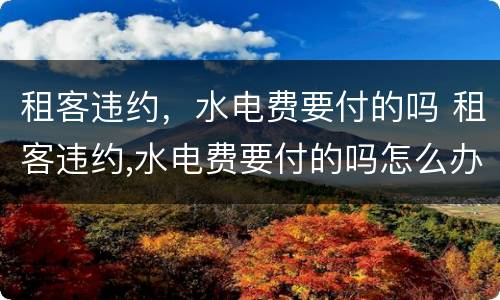 租客违约，水电费要付的吗 租客违约,水电费要付的吗怎么办