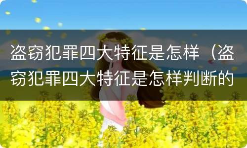 盗窃犯罪四大特征是怎样（盗窃犯罪四大特征是怎样判断的）