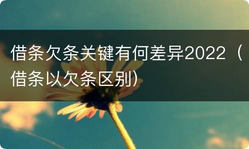 借条欠条关键有何差异2022（借条以欠条区别）