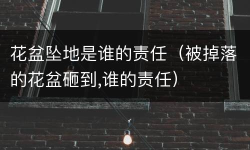 花盆坠地是谁的责任（被掉落的花盆砸到,谁的责任）