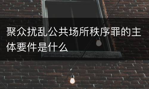 聚众扰乱公共场所秩序罪的主体要件是什么