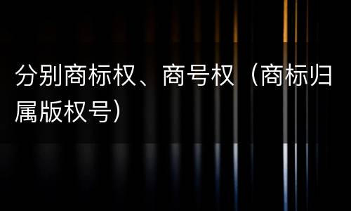分别商标权、商号权（商标归属版权号）