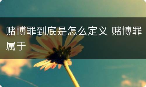 赌博罪到底是怎么定义 赌博罪属于
