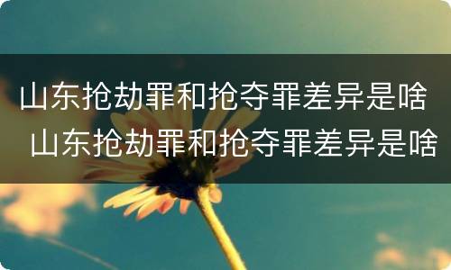山东抢劫罪和抢夺罪差异是啥 山东抢劫罪和抢夺罪差异是啥关系