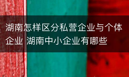 湖南怎样区分私营企业与个体企业 湖南中小企业有哪些