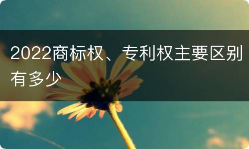 2022商标权、专利权主要区别有多少
