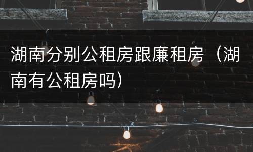 湖南分别公租房跟廉租房（湖南有公租房吗）