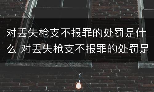 对丢失枪支不报罪的处罚是什么 对丢失枪支不报罪的处罚是什么标准