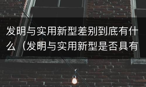 发明与实用新型差别到底有什么（发明与实用新型是否具有实用性）