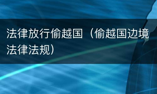 法律放行偷越国（偷越国边境法律法规）