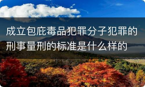 成立包庇毒品犯罪分子犯罪的刑事量刑的标准是什么样的