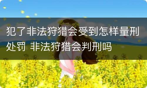犯了非法狩猎会受到怎样量刑处罚 非法狩猎会判刑吗