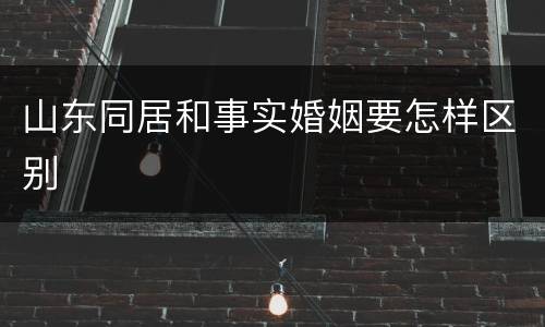 山东同居和事实婚姻要怎样区别
