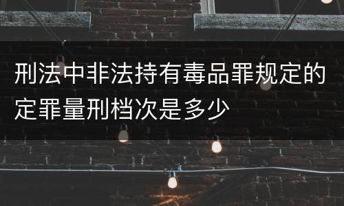 刑法中非法持有毒品罪规定的定罪量刑档次是多少