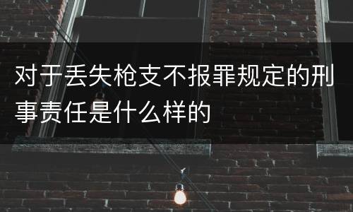 对于丢失枪支不报罪规定的刑事责任是什么样的