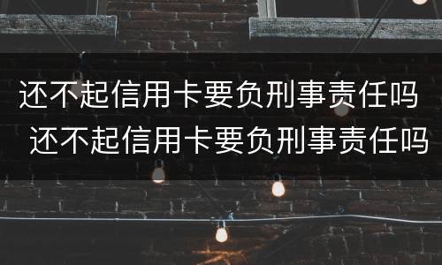 还不起信用卡要负刑事责任吗 还不起信用卡要负刑事责任吗
