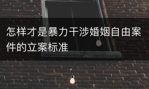 怎样才是暴力干涉婚姻自由案件的立案标准
