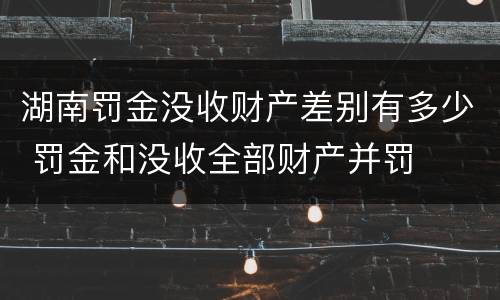 湖南罚金没收财产差别有多少 罚金和没收全部财产并罚