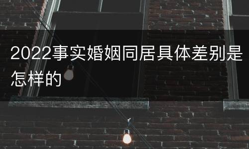 2022事实婚姻同居具体差别是怎样的