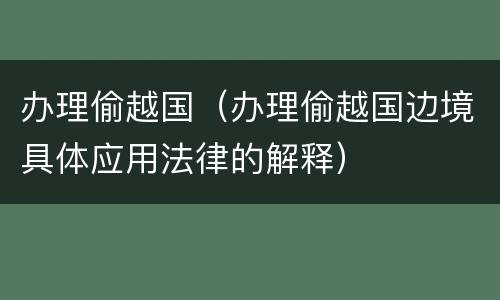 办理偷越国（办理偷越国边境具体应用法律的解释）