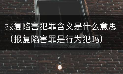 报复陷害犯罪含义是什么意思（报复陷害罪是行为犯吗）