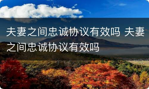 夫妻之间忠诚协议有效吗 夫妻之间忠诚协议有效吗