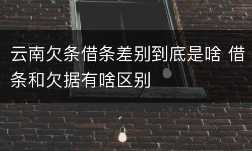 云南欠条借条差别到底是啥 借条和欠据有啥区别