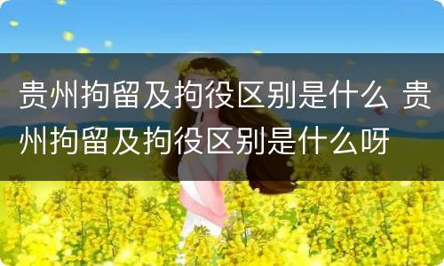 贵州拘留及拘役区别是什么 贵州拘留及拘役区别是什么呀