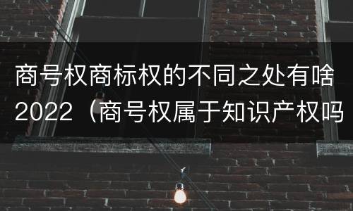 商号权商标权的不同之处有啥2022（商号权属于知识产权吗）