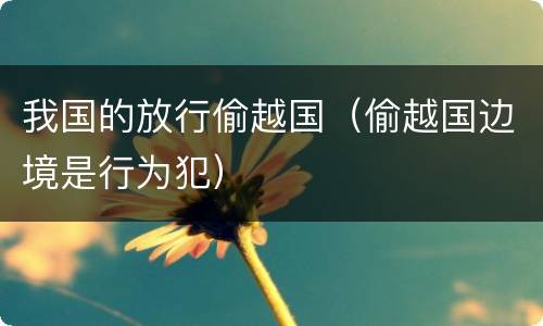 我国的放行偷越国（偷越国边境是行为犯）